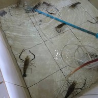 ชายเลซีฟู๊ด แอนด์ รีสอร์ท สะพานปลาชะอำ เพชรบุรี