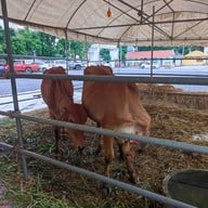 วัดศาลาลอย