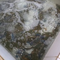 ชายเลซีฟู๊ด แอนด์ รีสอร์ท สะพานปลาชะอำ เพชรบุรี