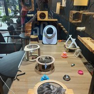 Mama don't like espresso bar & bake lap