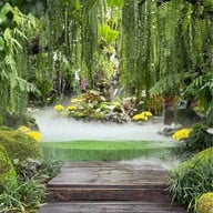 ไม้เฮือน ๖๐(กาแฟดอยช้างแม่ริม) แม่ริม เชียงใหม่