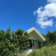 สวนส้มจินจู JINJU the orange farm