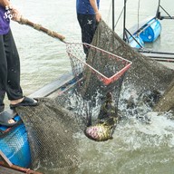 บรรยากาศ ครัวลัดดา