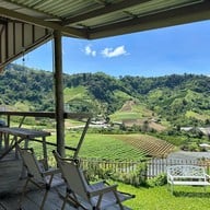 สวนส้มจินจู JINJU the orange farm