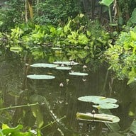 ฌอเฌอคอฟ ลาดพร้าว16