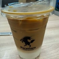 PACAMARA Vibhavadi Rangsit 62