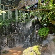 ไม้เฮือน ๖๐(กาแฟดอยช้างแม่ริม) แม่ริม เชียงใหม่