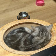 Mama don't like espresso bar & bake lap