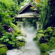 ไม้เฮือน ๖๐(กาแฟดอยช้างแม่ริม) แม่ริม เชียงใหม่