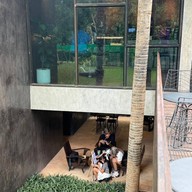 บรรยากาศ Yang