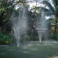บรรยากาศ ซาฟารีเวิลด์