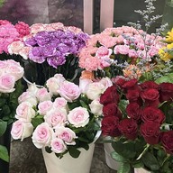 ร้านดอกไม้ Oat flower