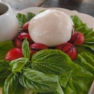 PATA PLANTATION Block 28