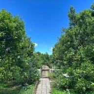 สวนส้มจินจู JINJU the orange farm