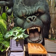 Hidden Tree Garden Specialty Coffee & Matcha