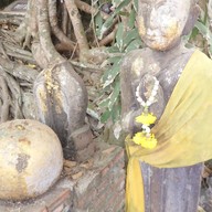 บรรยากาศ ตลาดน้ำอัมพวา