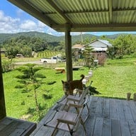 สวนส้มจินจู JINJU the orange farm
