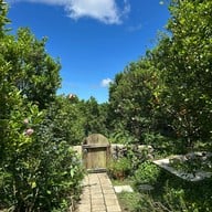 สวนส้มจินจู JINJU the orange farm