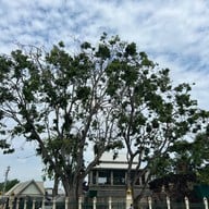 ศาลพระกาฬ