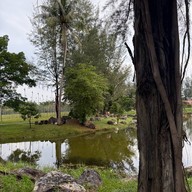 สวนขวัญเมืองยะลา