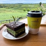 ไร่ชาฉุยฟง แม่จัน เชียงราย