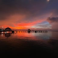 ปะการังเรือนน้ำ บางแสน