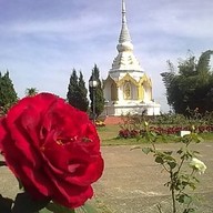 บรรยากาศ หอสมุดนานาชาติเขาค้อ