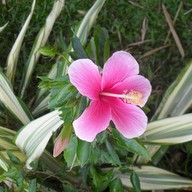 บรรยากาศ หอสมุดนานาชาติเขาค้อ