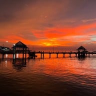 ปะการังเรือนน้ำ บางแสน