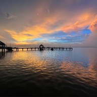 ปะการังเรือนน้ำ บางแสน