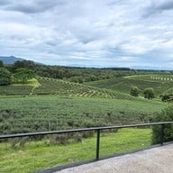 ไร่ชาฉุยฟง แม่จัน เชียงราย