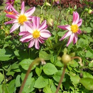 บรรยากาศ หอสมุดนานาชาติเขาค้อ