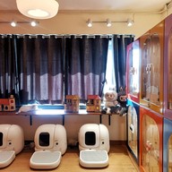 Atmosphere of Shibainu Story