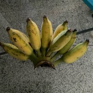 กาแฟแมวยากาศ : CATTOSPHERE COFFEE BAR