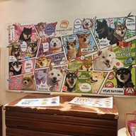 Atmosphere of Shibainu Story