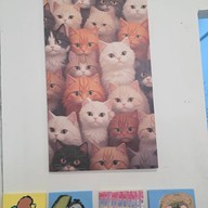 ฮักคาเฟ่