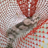 ภัตตาคาร เกาะลอย