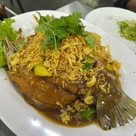เมนูของร้าน เหมยหมึกเป็นซาชิมิ ทวีวัฒนา
