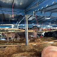 ศาลากลางจังหวัดชลบุรี