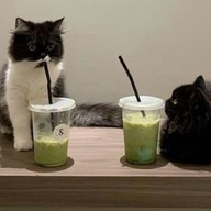 I'M NOT A MORNING PERSON COFFEE Sathorn