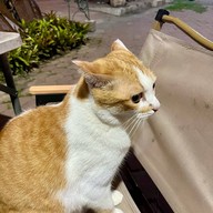 ร้านนมสด (โฉมใหม่)