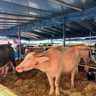 ศาลากลางจังหวัดชลบุรี