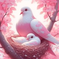 เพจครูกุลชญา ศิริไทย สระบุรี