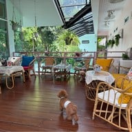 Jungle De Woof Cafe