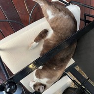 Miss Siam โรงแรมหัวช้าง เฮอริเทจ