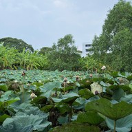 Benana Café (เบนนาน่าคาเฟ่)