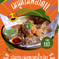 ร้านครัวตามสั่งดีหมึก เชียงใหม่