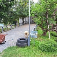 บรรยากาศ แกะ กะ บัว ฟาร์มคาเฟ่ & เรสเตอร์รองค์