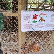 บรรยากาศ แกะ กะ บัว ฟาร์มคาเฟ่ & เรสเตอร์รองค์