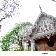 วัดโพธิ์บางคล้า